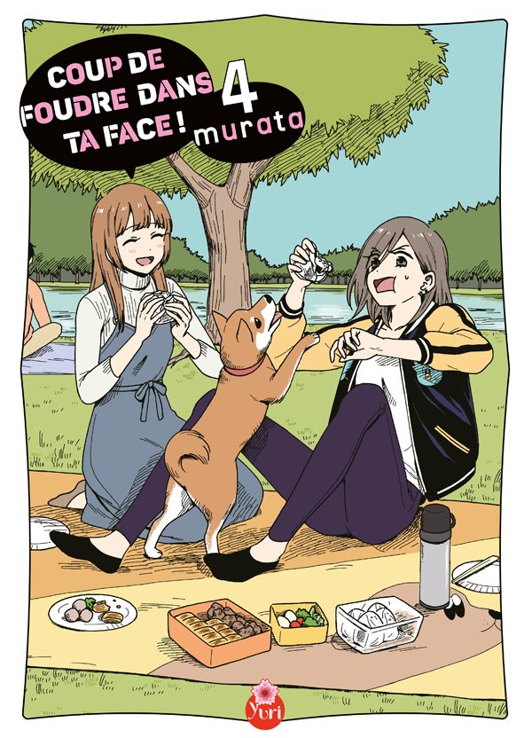COUP DE FOUDRE DANS TA FACE ! - TOME 4